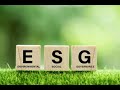 Certificate in esg investing info session