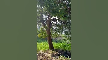 I crashed my drone... #crash #challenge #oopsmoment