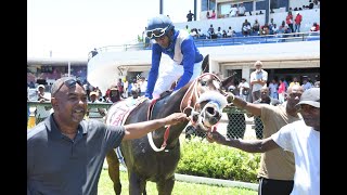 Famous Omar Walker Wins On Gentle Giant In Caymanas (Mon, April 10, 2023) 2nd Wealth