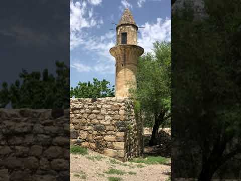جامع حطين في قرية حطين المهجرة قضاء طبريا