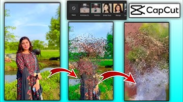 Capcut Particles Disappear Effect || Capcut Video Editing | Slow Motion Editing