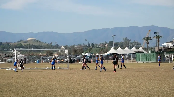 Mary Mobley Spring 2022 Highlights - 2023 Forward