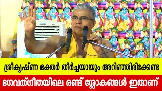 ശ്രീകൃഷ്ണ ഭക്തര്‍ തീര്‍ച്ചയായും അറിയേണ്ട ഭഗവത്ഗീതയിലെ രണ്ട് ശ്ലോകങ്ങള്‍ ഇതാണ് | Swami Udit Chaitanya