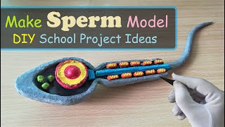 Making Sperm Handmade 3D Model