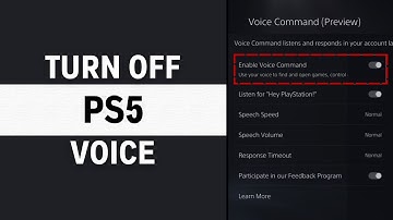 How To Turn Off Screen Reader On PS5 Voice Assistant - Full Guide
