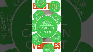 Teslas Secret Genius Move