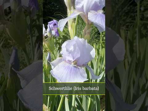 Auswählen und Verwalten Ihrer Kontowährung