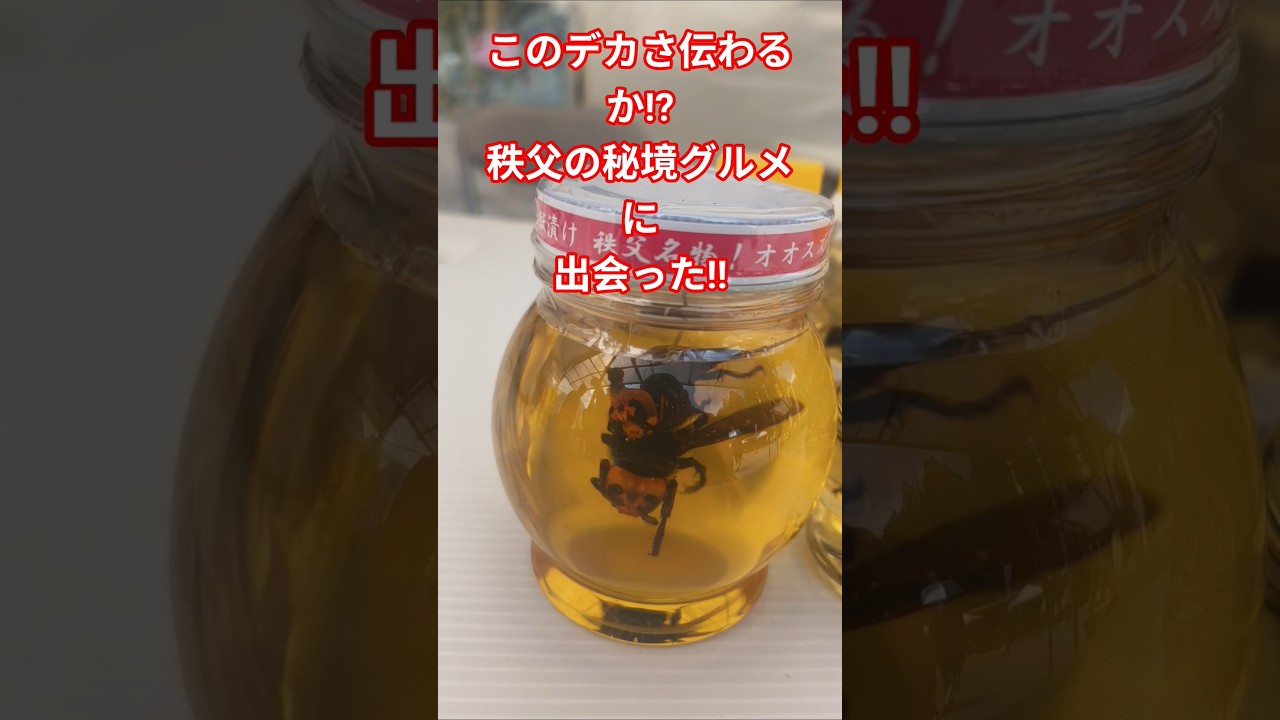 【閲覧注意】秩父名物！巨大オオスズメバチが丸ごと入った「はちみつ漬け」をゲットした