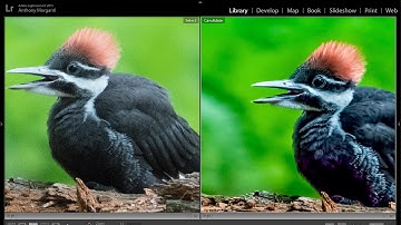 High Noise Workflow (Using Lightroom, Topaz Denoise and On1 Effects)