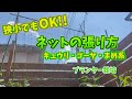【ネットの張り方】キュウリ/ゴーヤ/豆系などに使える (プランター菜園)