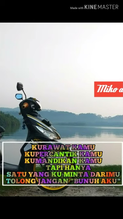 Story WA anak thailook. By : miko