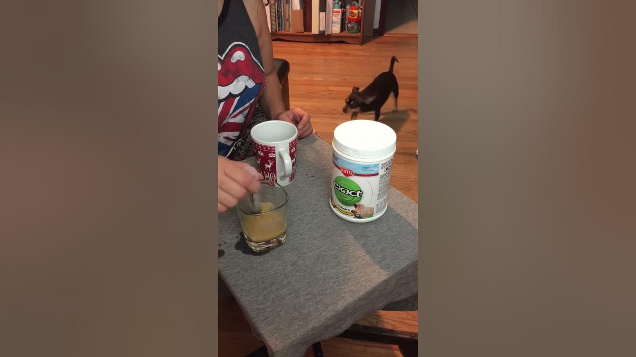 Baby Bird Formula Exact Prepared YouTube