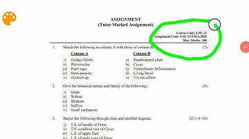 Lse 13 solved assignment 2020