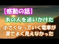 【感動】 あの人を追いかけた