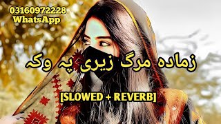 Pashto New Songs | Slowed Reverb | Song | 2023 |‎ @Pashtomusic51