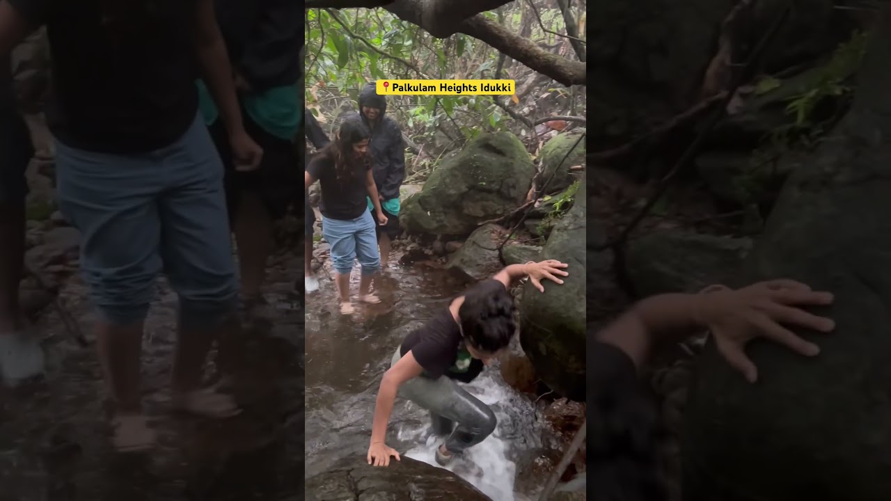 ഇടുക്കിയിൽ 2 ദിവസം അടിച്ചുപൊളിക്കം!! - Part 1   At PalkulamHeights 