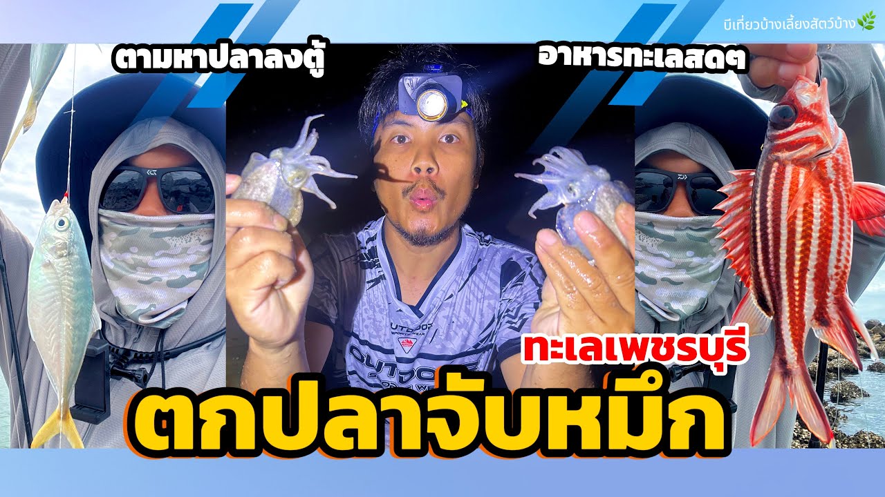 เจอเเมงกินลิ้นมาอีกเเล้ว ตกปลาจับหมึกทะเลเพชรบุรี 