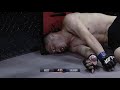 Most Brutal MMA Foul Ever?