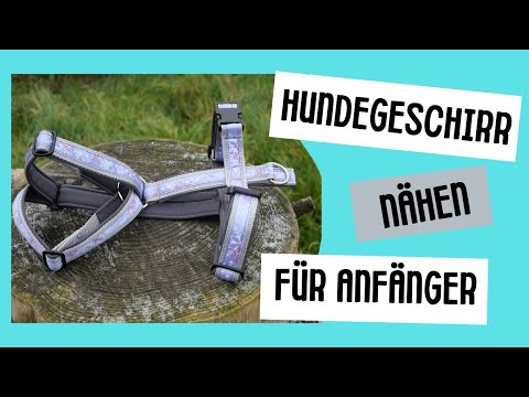 Video: Anleitung für ein Hundegeschirr aus Stoff