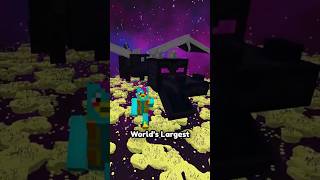 Worlds Largest Ender Dragon