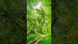 mind blowing illusion..🫣😱#trending#shortsfeed#shorts#viral#illusion