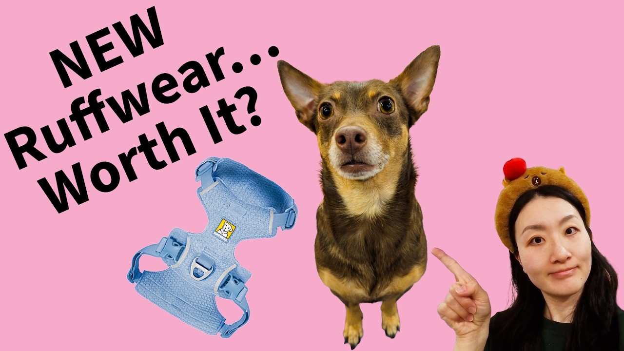 Ruffwear Pros and Cons
