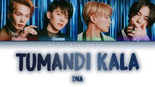 Video thumbnail of "DNA - TUMANDY QALA | LYRICS | ТЕКСТ | СӨЗІ | КАРАОКЕ"