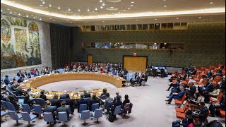 Israel/Palestine I Security Council vote on new resolutions | United Nations