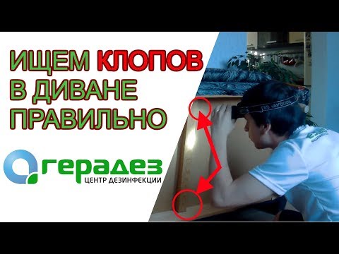 ✅ Как найти клопов в диване. Где прячутся клопы?