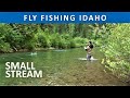 Fly Fishing North Idaho Small Stream in June [Series Episode #37]