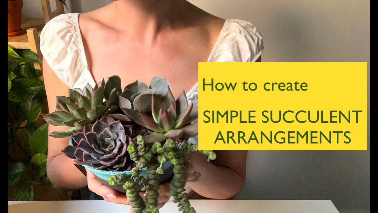 How To Create Simple Succulent Arrangements 🌿 DIY Mini Succulent Garden ...