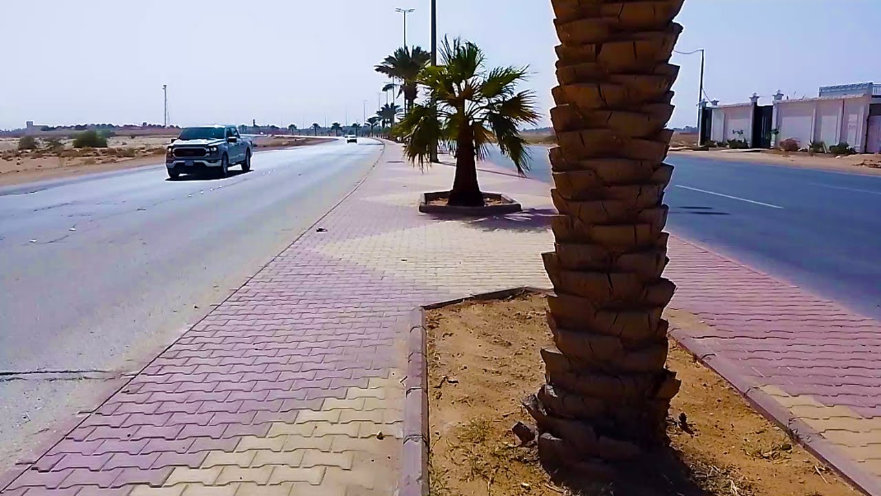 طريق هادئ تحت الشمس | منظر طبيعي يساعد على الاسترخاء والتأمل