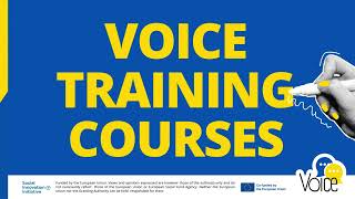 Free Entrepreneurship Course | VOICE Module 1 – Employability & Entrepreneurial Mindset