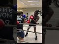 #viral #boxing #shortvideo