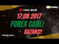 Forex İfşa - Nasıl Dolandırılıyoruz Forexte Borsada - YouTube
