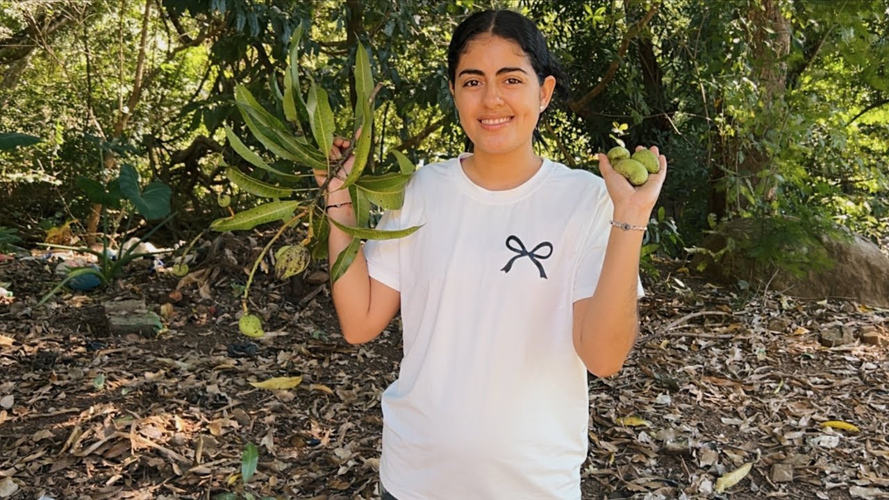 Los primeros mangos del cantón 😱🤗