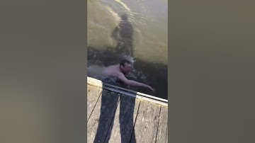 Le saut du saumon de mon père 😂