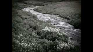 Facing Reality By Ron Kataquapit