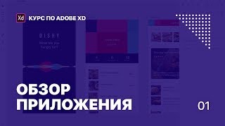 Уроки Adobe XD. Лекция 1. Обзор приложения. Уроки Adobe XD. Лекция 1. Обзор приложения.