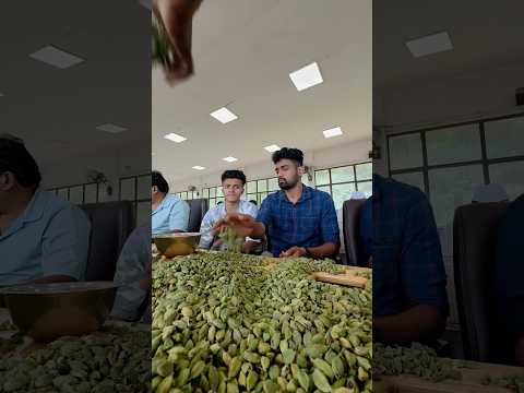 Cardamom auction live