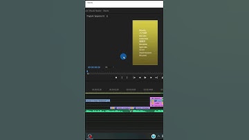 4 QUICK Solutions for PREMIERE PRO Timeline ERROR
