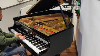 My Immortal Evanescence Piano Solo screenshot 3