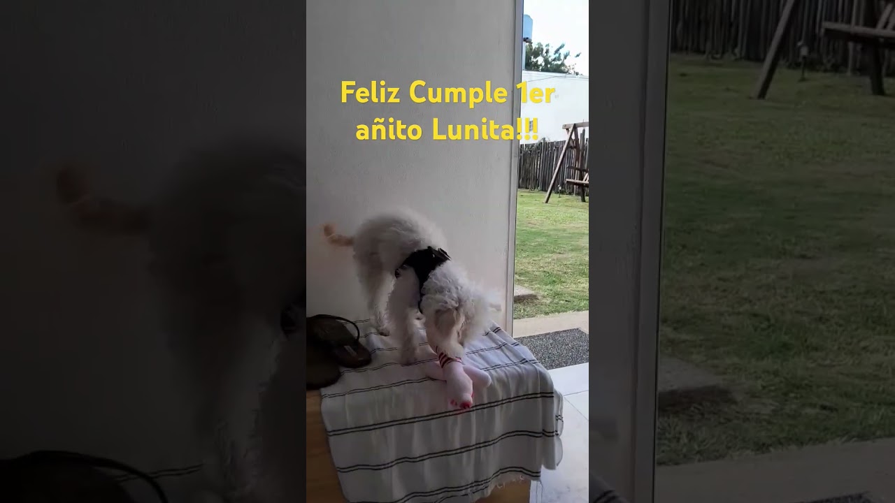 FELÍZ CUMPLE 1er añito Lunita!!! 