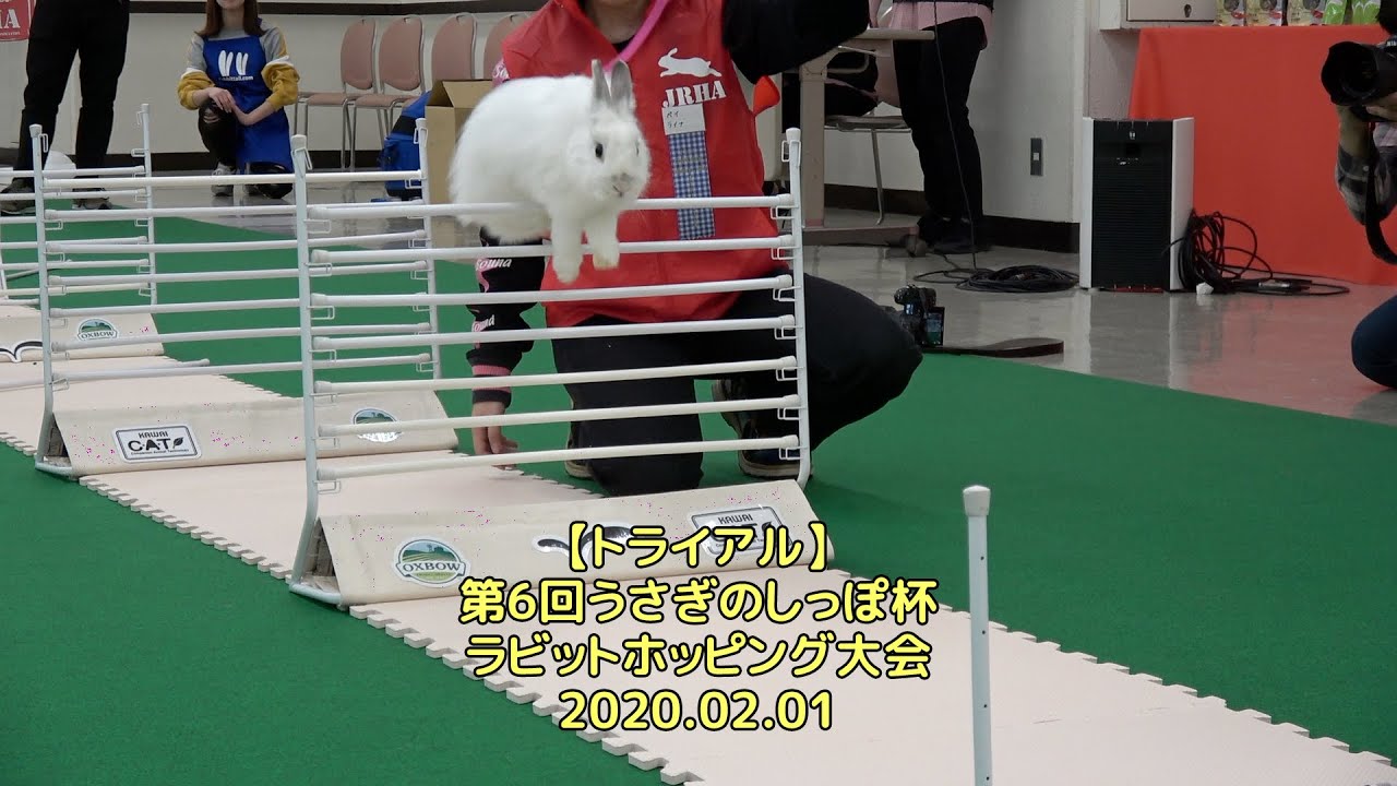 【トライアル】第6回うさぎのしっぽ杯・ラビットホッピング大会＠横浜産貿ホール（2020.02.01）
