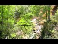 自然の音景色 渓流と小鳥3(野鳥の鳴き声) Nature Sound