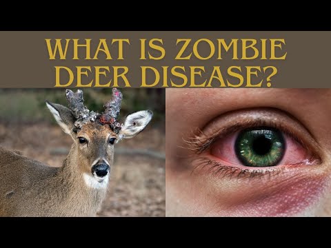 U.S. CWD Outbreak: