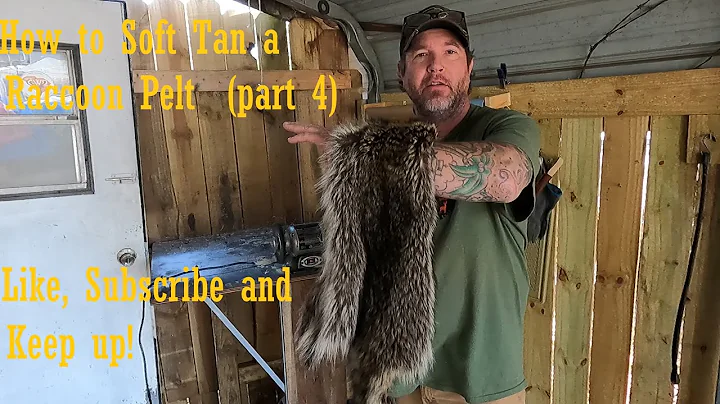 Soft Tanning Raccoon Pelts (part 4 finishing) #taxidermy #howto #wildlife