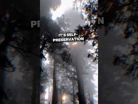 Setting A Boundary Motivation Resetyourmindset Motivationalquotes 