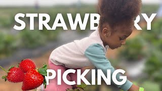 Our FIRST Time Strawberry Picking | Homeschool Field Trip