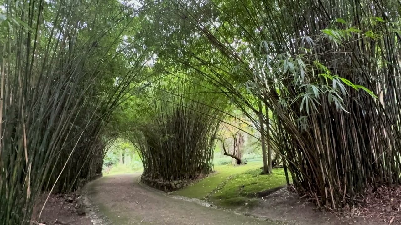 Portugal 157 Lisbon - Walking｜ Botanical Garden of Lisbon ②｜R.Dom Pedro V｜Largo Trindade Coelho｜R.d…